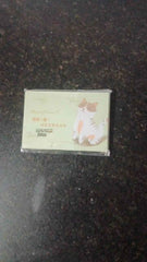 100 Pcs Oil Absorbing Papers